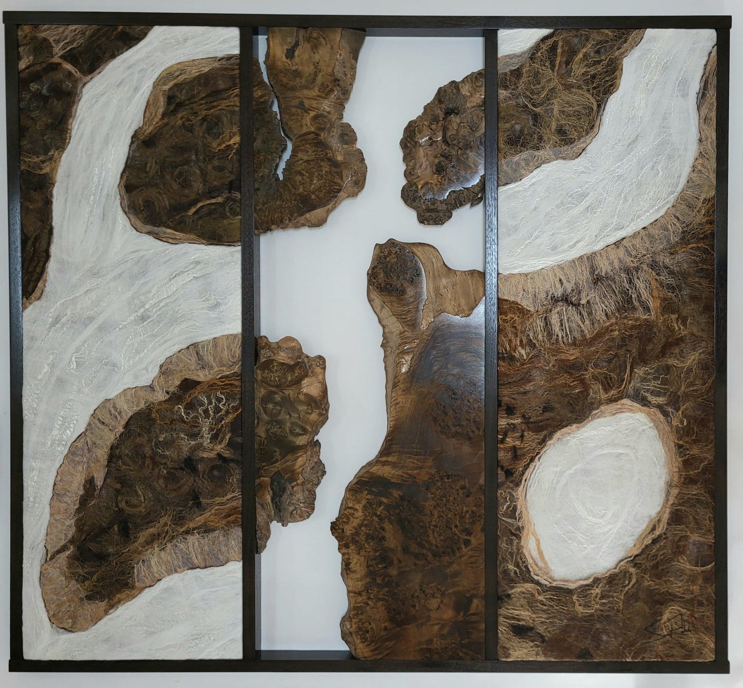 Tide Pools and Rivulets