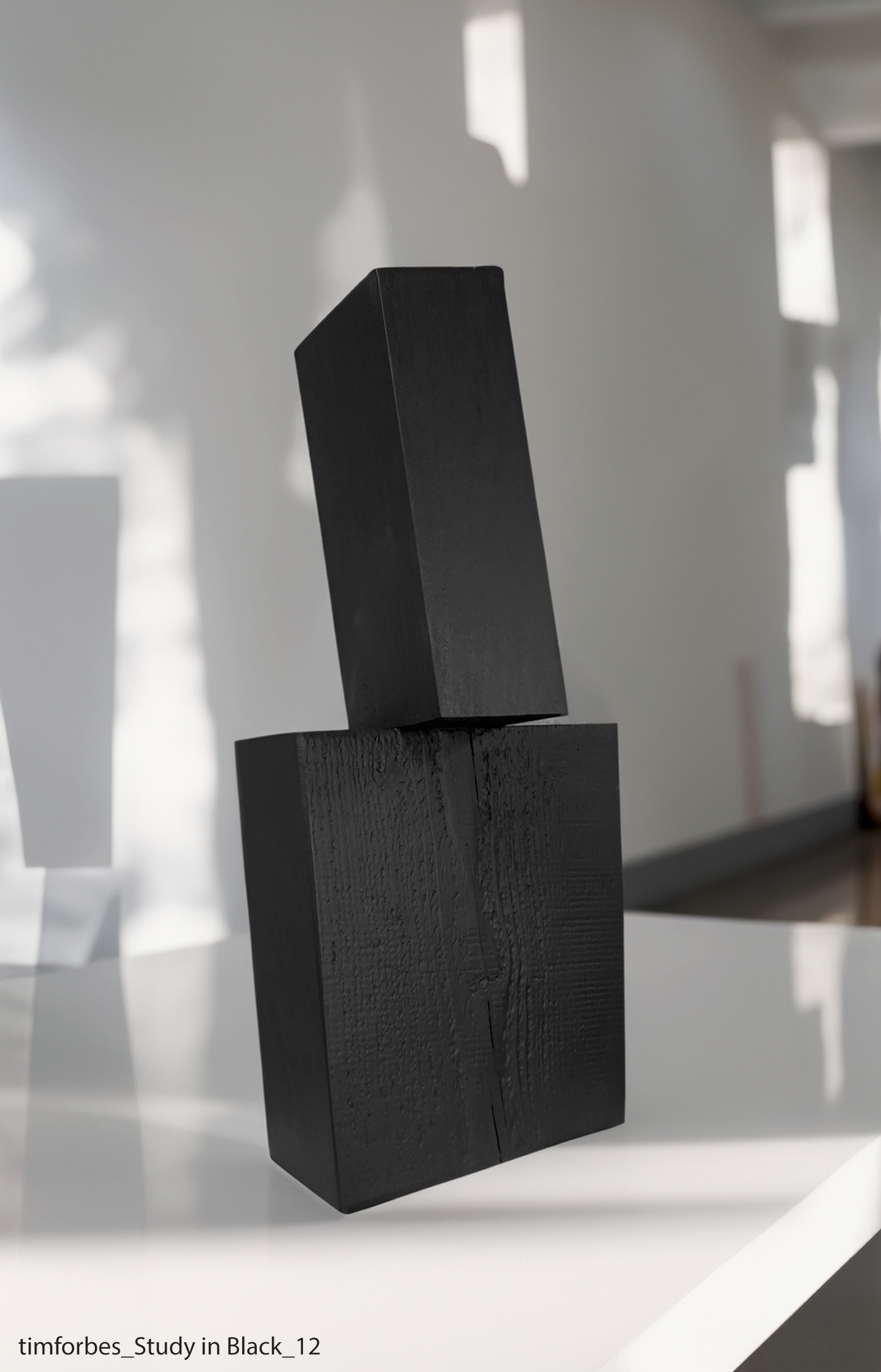 Study in Black 12