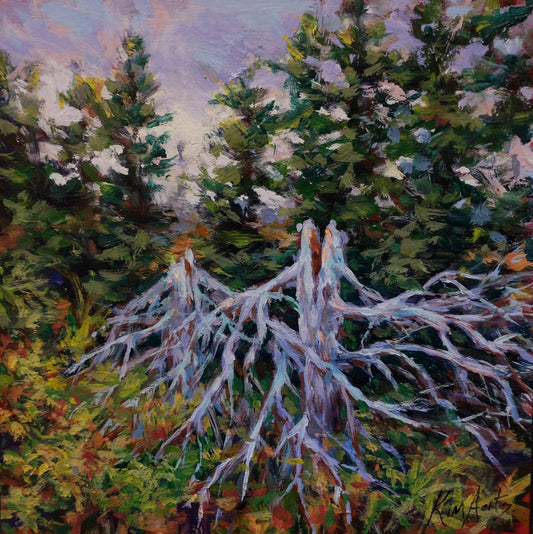 Forest Bones, Rainbow Haven