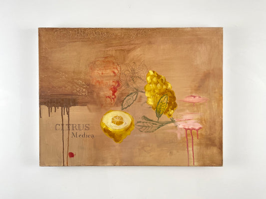 Citrus Medica