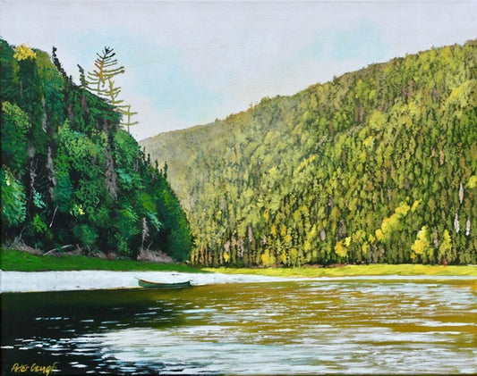 Square Back - 47º53’00” N 67º15”00’ W - Two Brooks on the Restigouche River N.B.