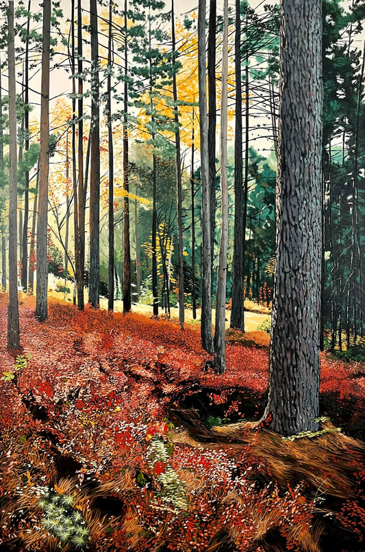 Scarlett Veil, McAdam, NB - 45º35’56” N   67º20’25” W