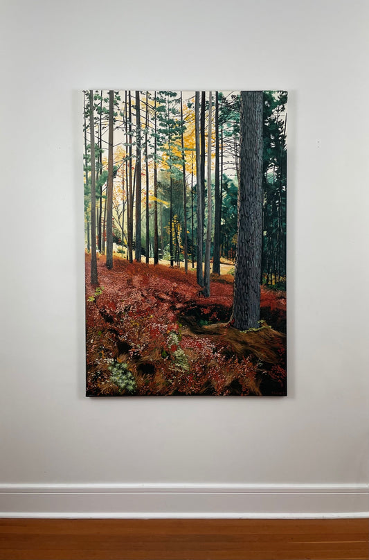 Scarlett Veil, McAdam, NB - 45º35’56” N 67º20’25” W