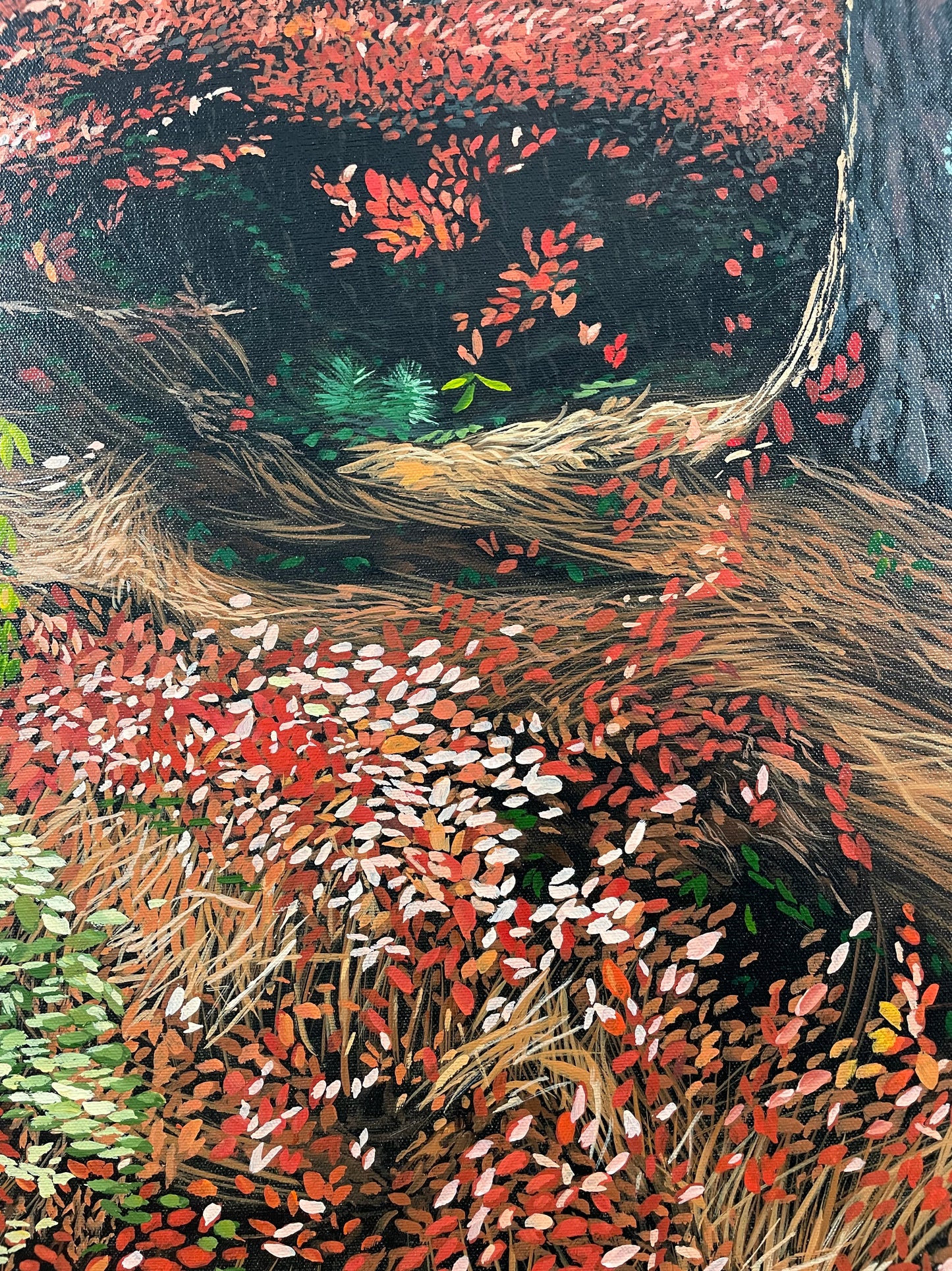 Scarlett Veil, McAdam, NB - 45º35’56” N   67º20’25” W