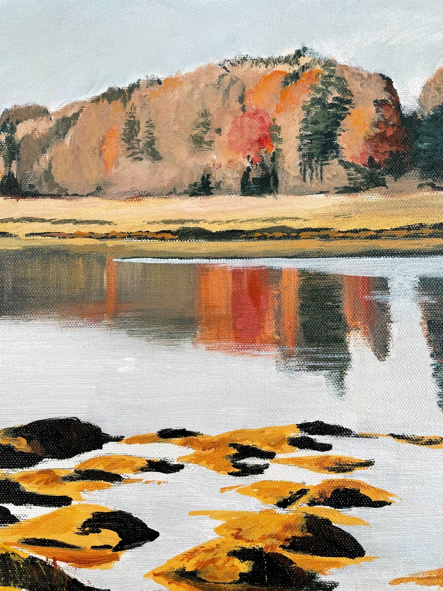 Estuary -  44º38’30” N   63º54’38” W