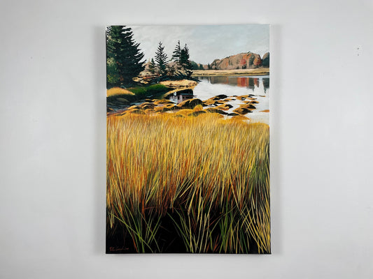 Estuary - 44º38’30” N 63º54’38” W