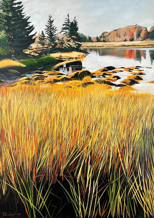 Estuary -  44º38’30” N   63º54’38” W