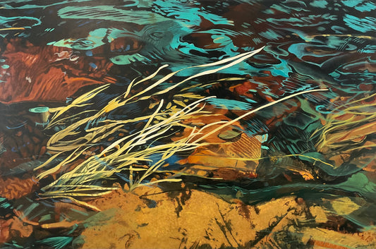 Random Symmetry - 44º35’08” N, 64º22’00” W