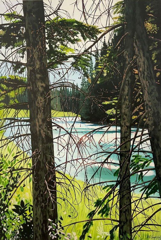 Forest Veil - 51º10’15” N, 115º35’47” W