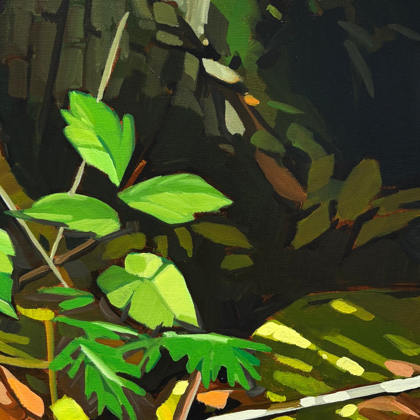 Stump Hollow