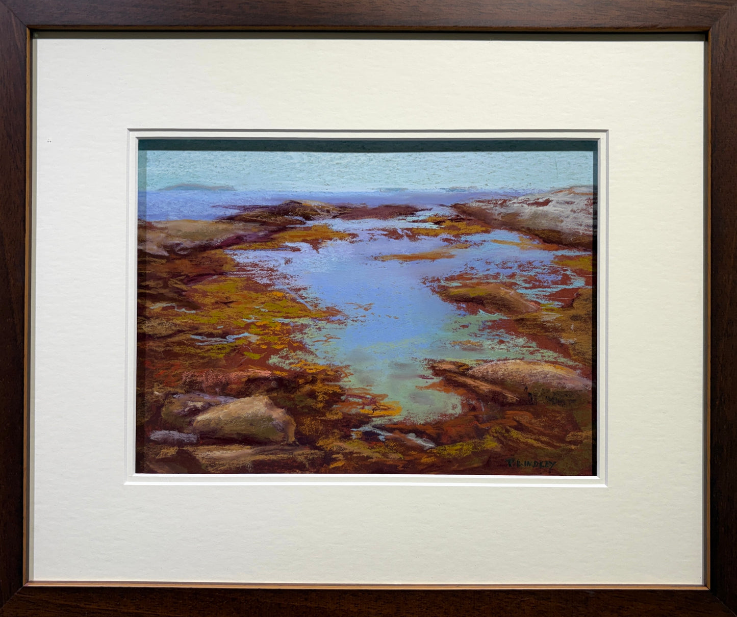 Inlet Near Polly's Cove