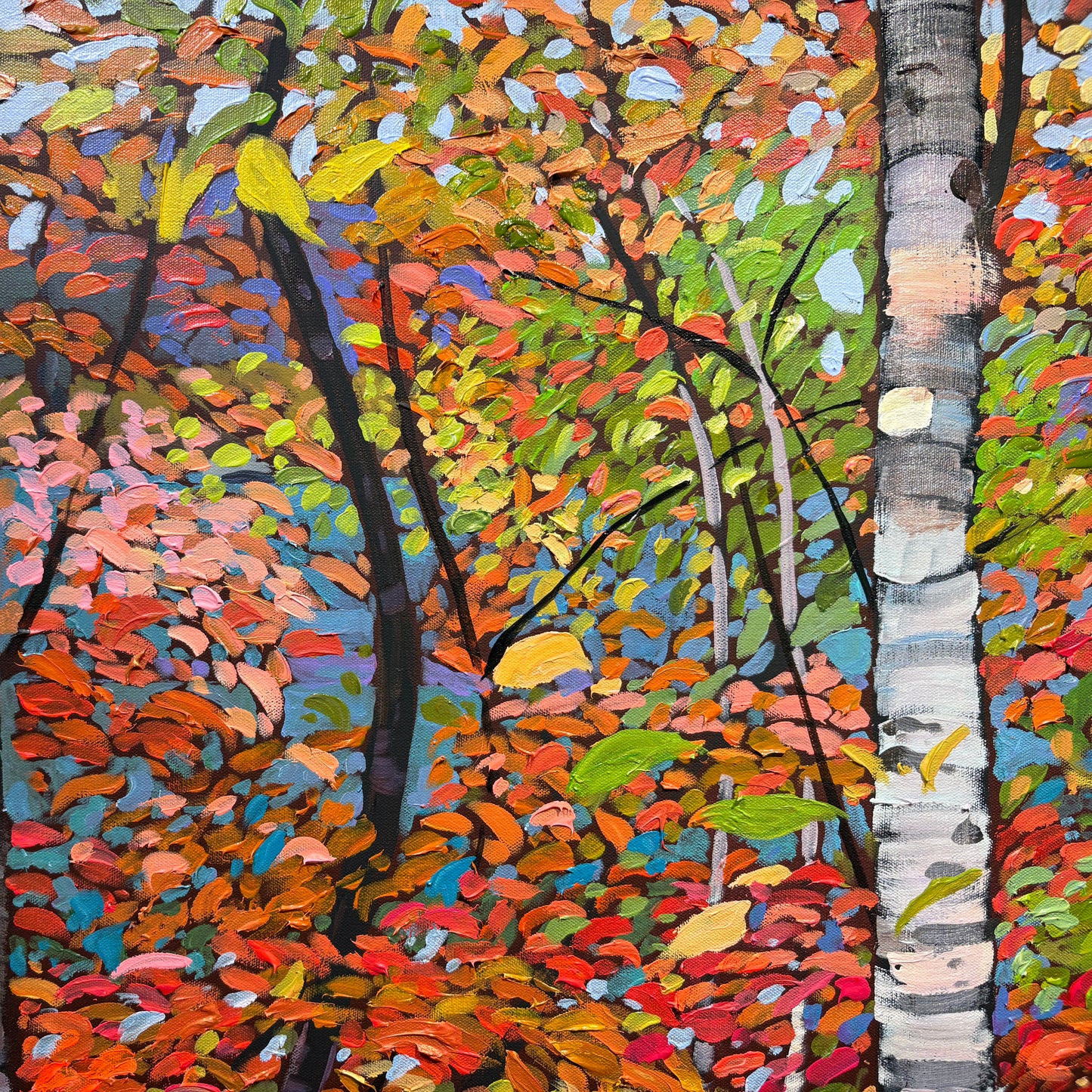Frog Pond, Fall