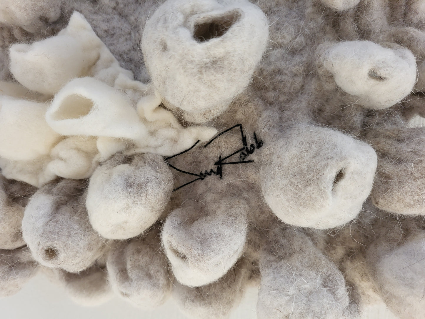 Lophelia (Barnacle Series)