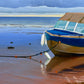 Low Tide (Baie Verte, NB)