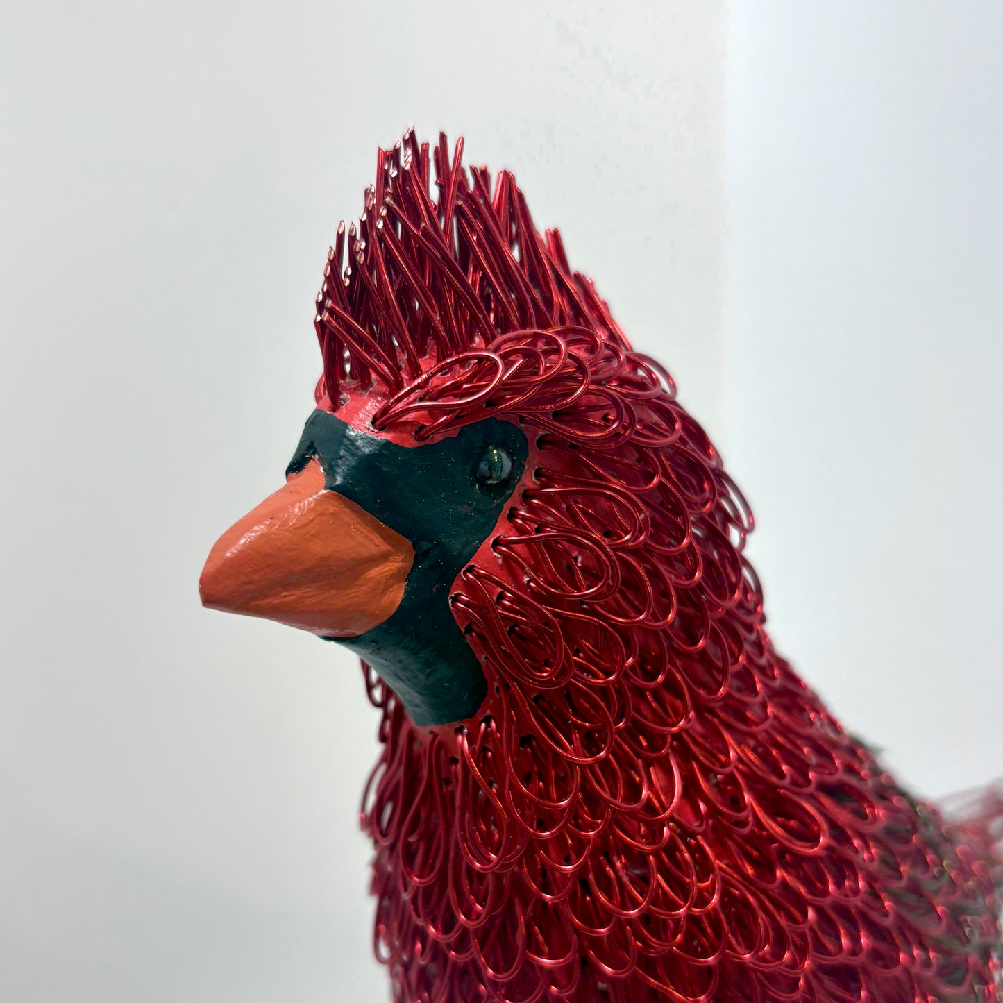 Boyd (Cardinal)