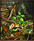Stump Hollow