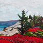 Towards the Lookoff, Herring Cove