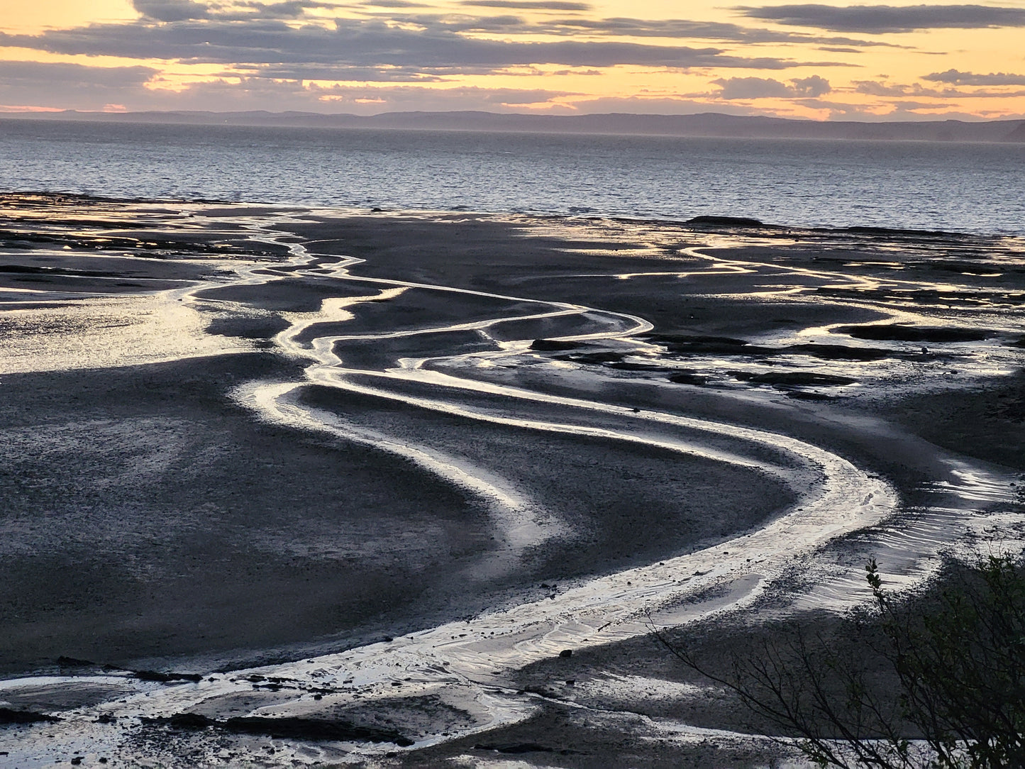 Rivulets to the Sea