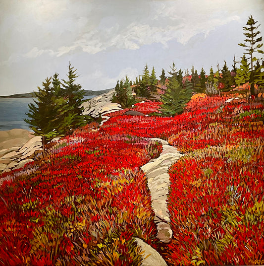 Granite Trail, Herring Cove, NS