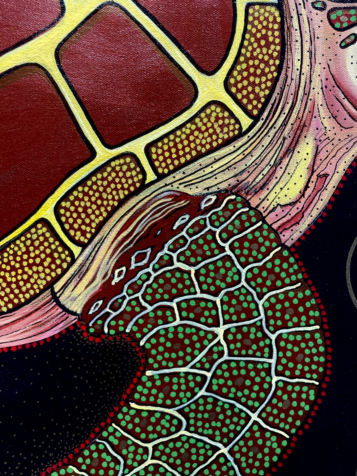 Snake and Turtle