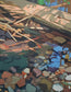 Creek Reflection