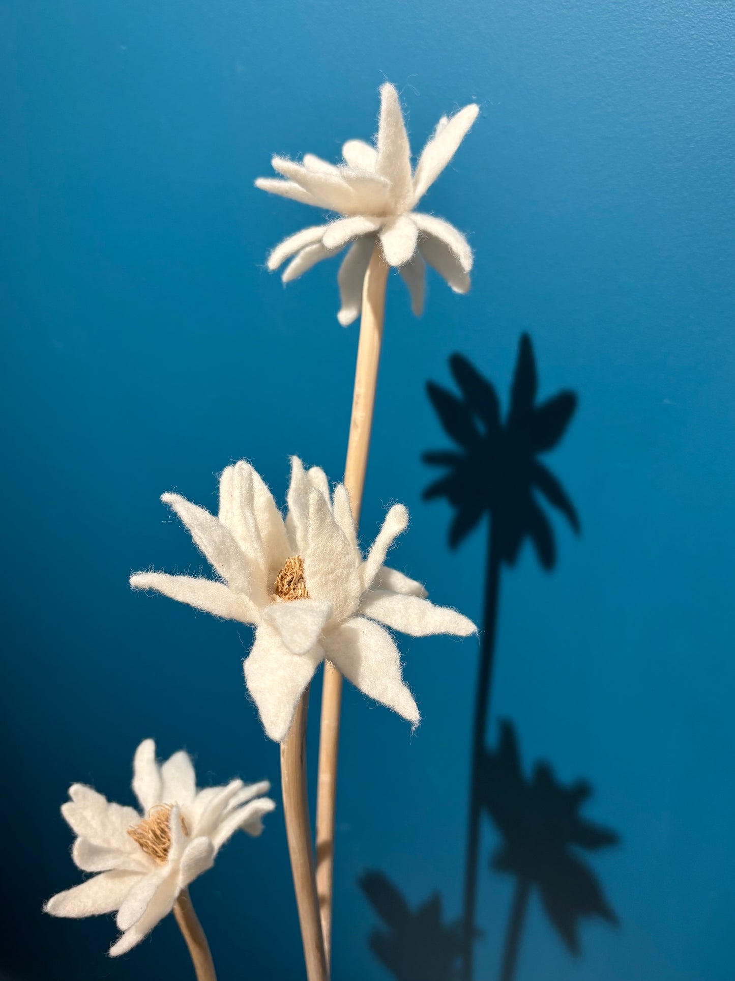 KUKKA #22 (TRIPLE STEM)