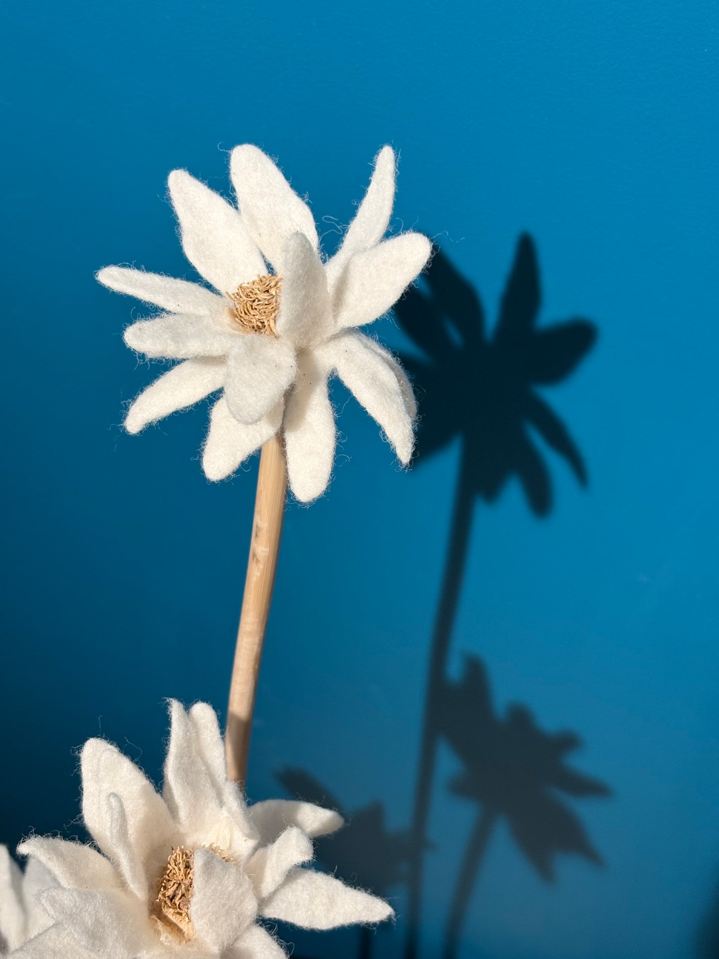 KUKKA #22 (TRIPLE STEM)