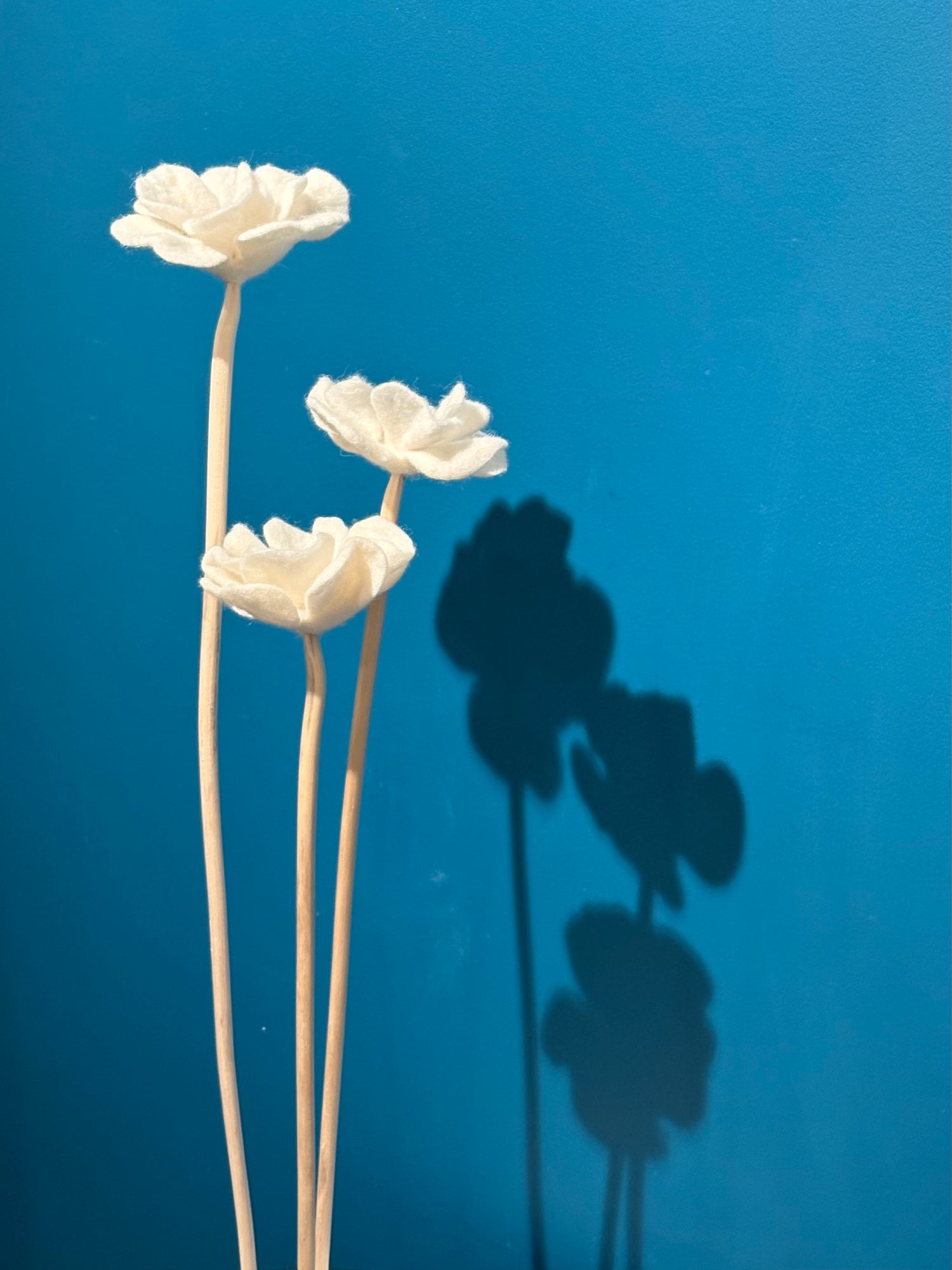 Sculpture Collection