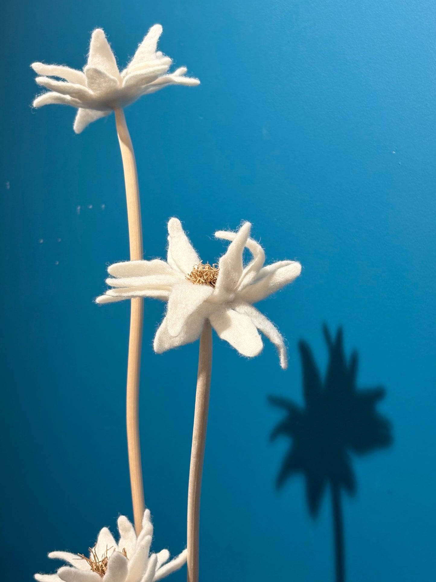 KUKKA #24 (TRIPLE STEM)