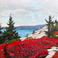 Towards the Lookoff, Herring Cove