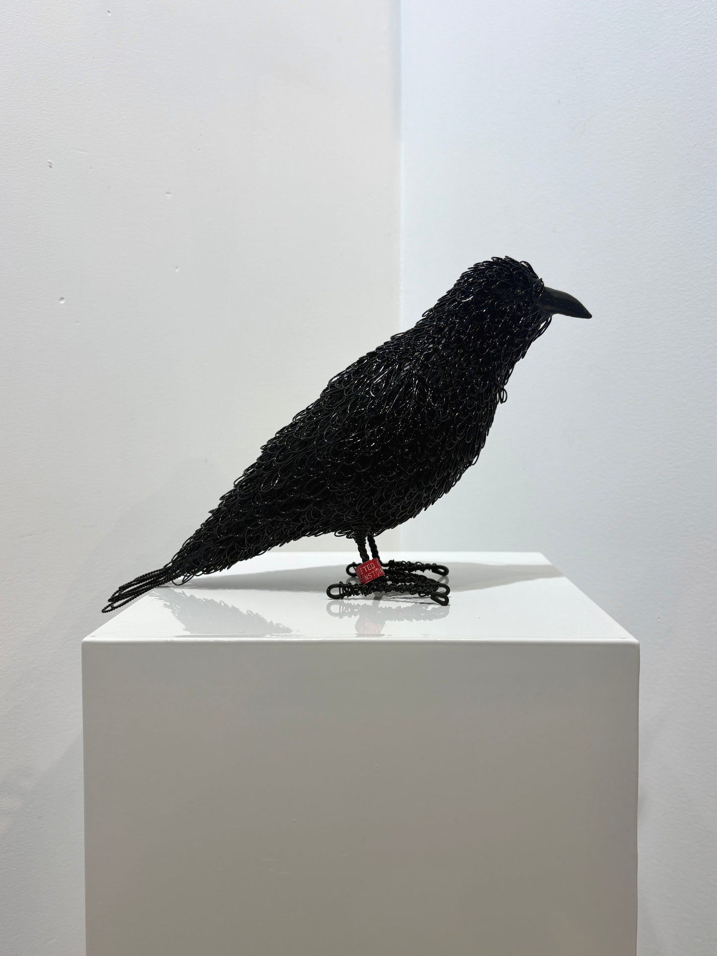 Storyteller (Crow)