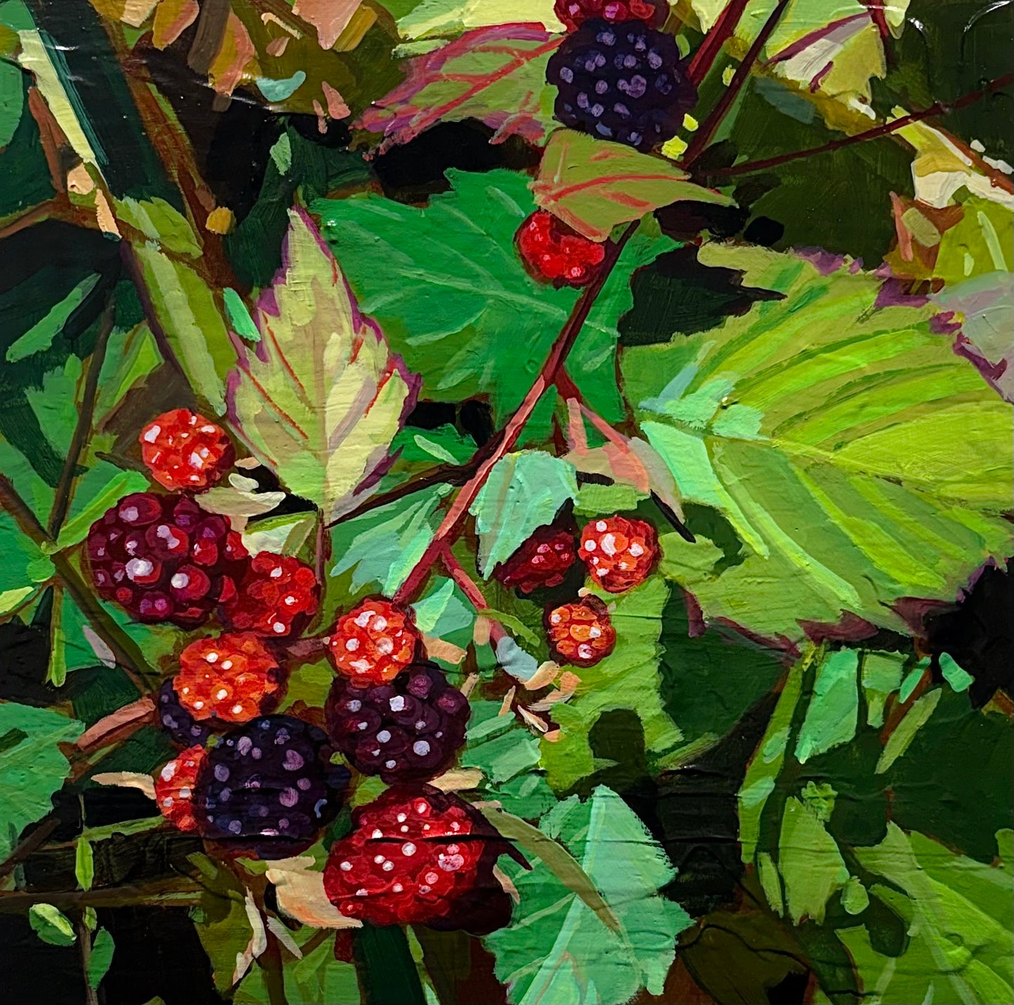 Blackberry Study