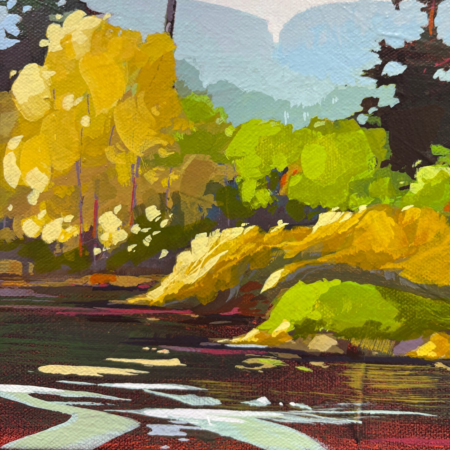 Shoreline Sentinels