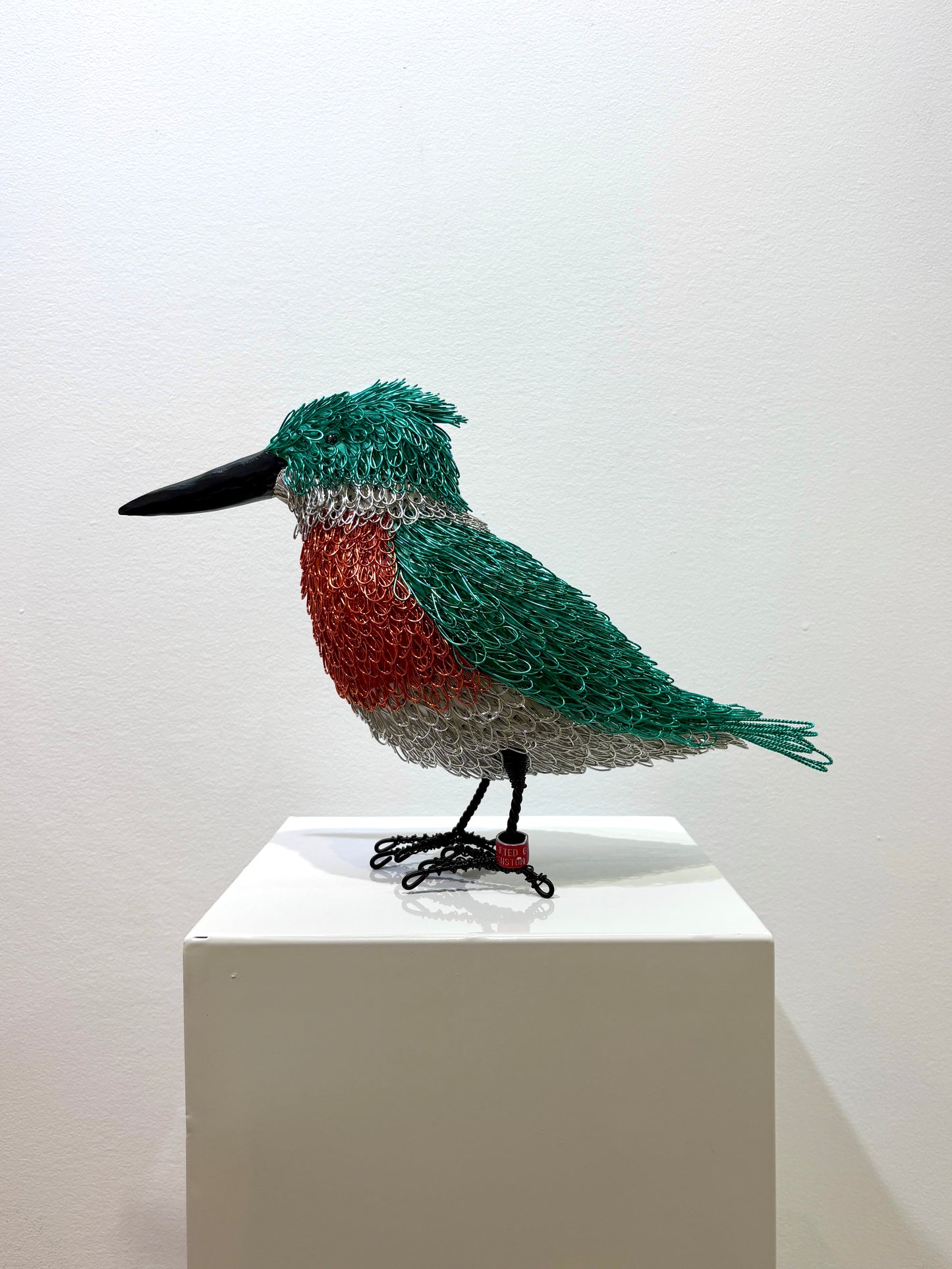 Jade (Kingfisher)