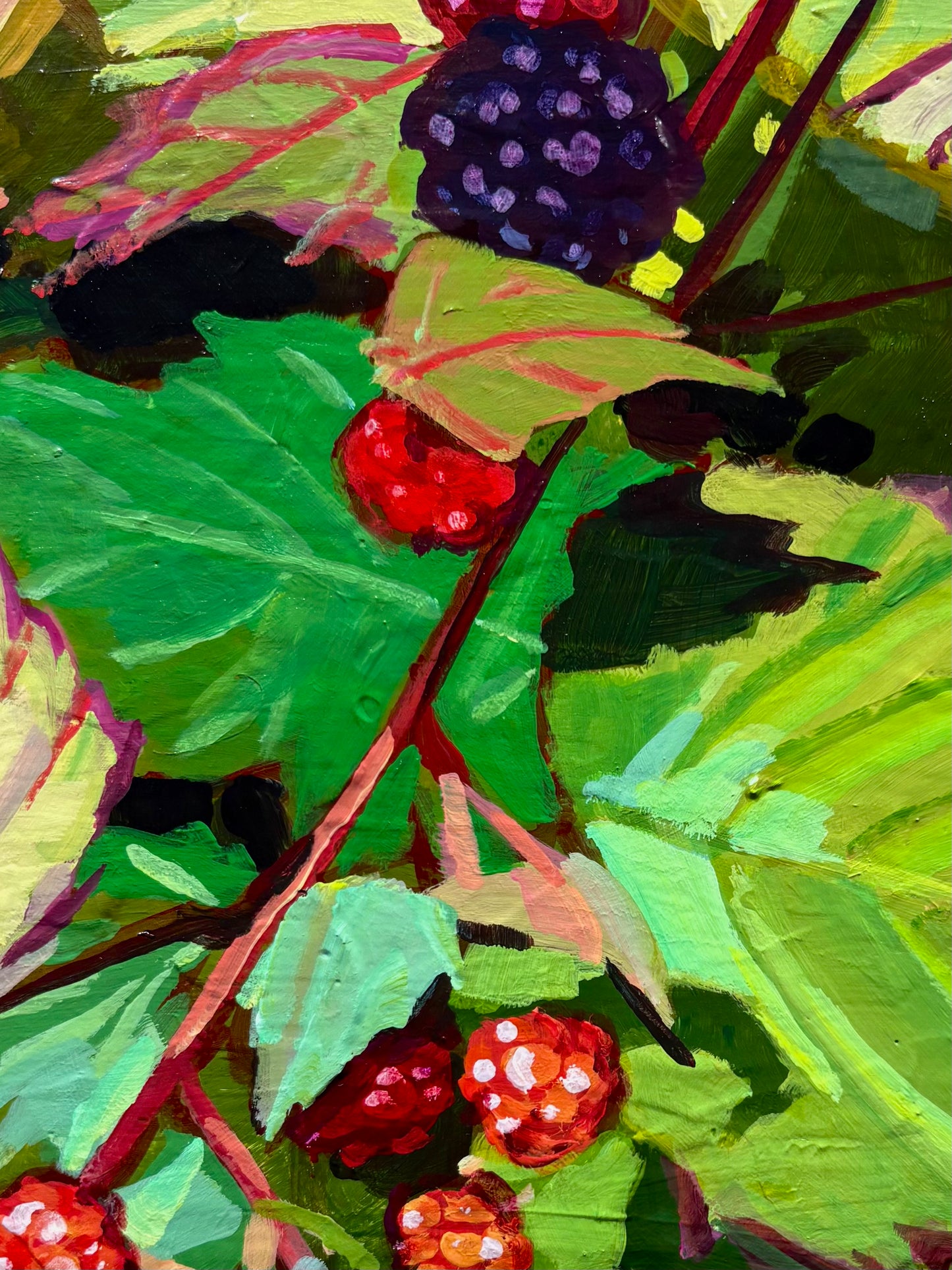 Blackberry Study