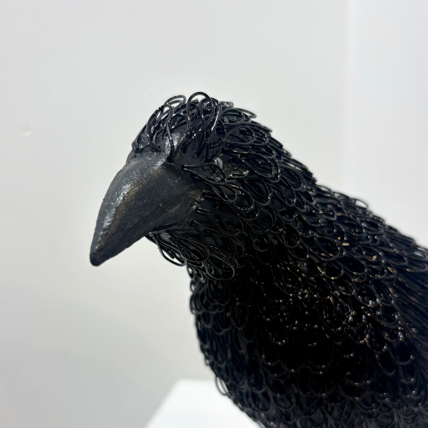 Cyrious Black (Crow)