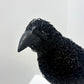 Cyrious Black (Crow)
