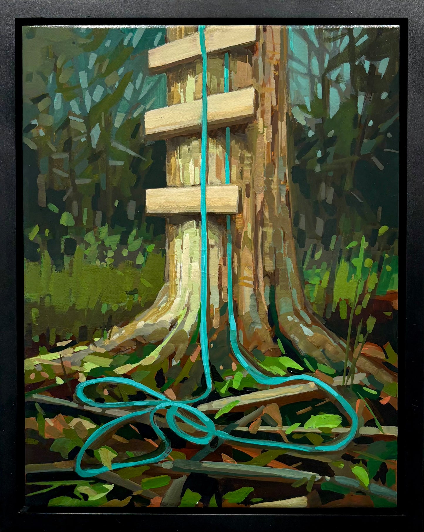 Climbing Rope