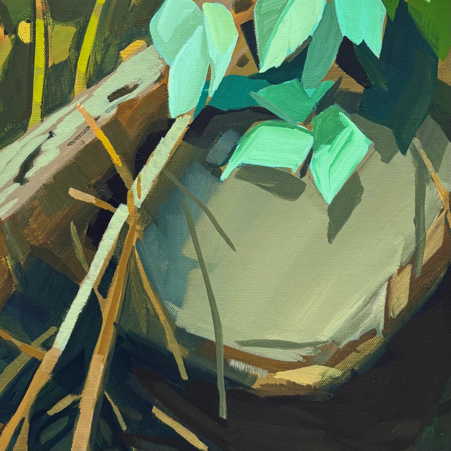 Under a Rock