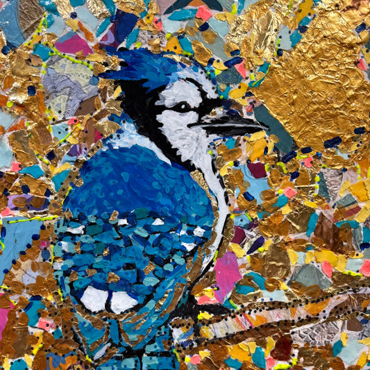 Colourful Bluejay