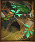 Critter Home