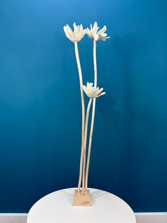 KUKKA #33 (TRIPLE STEM)