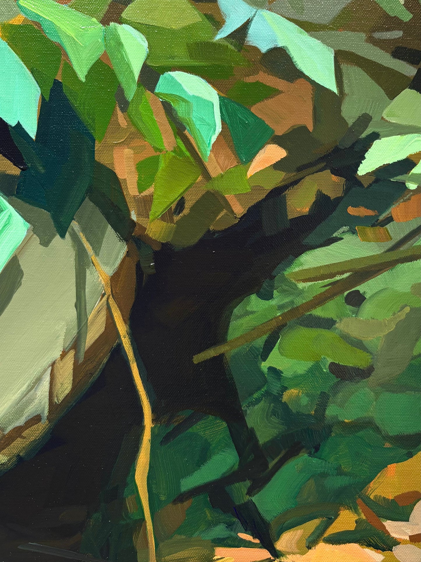 Under a Rock