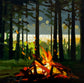 Fire Shimmer