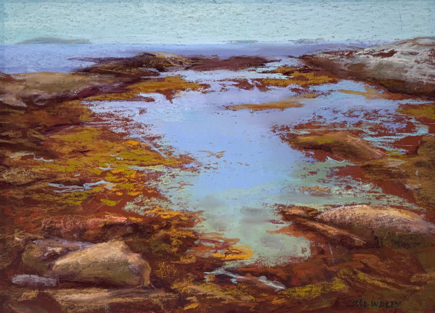 Inlet Near Polly's Cove
