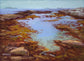 Inlet Near Polly's Cove