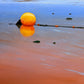 Low Tide (Baie Verte, NB)