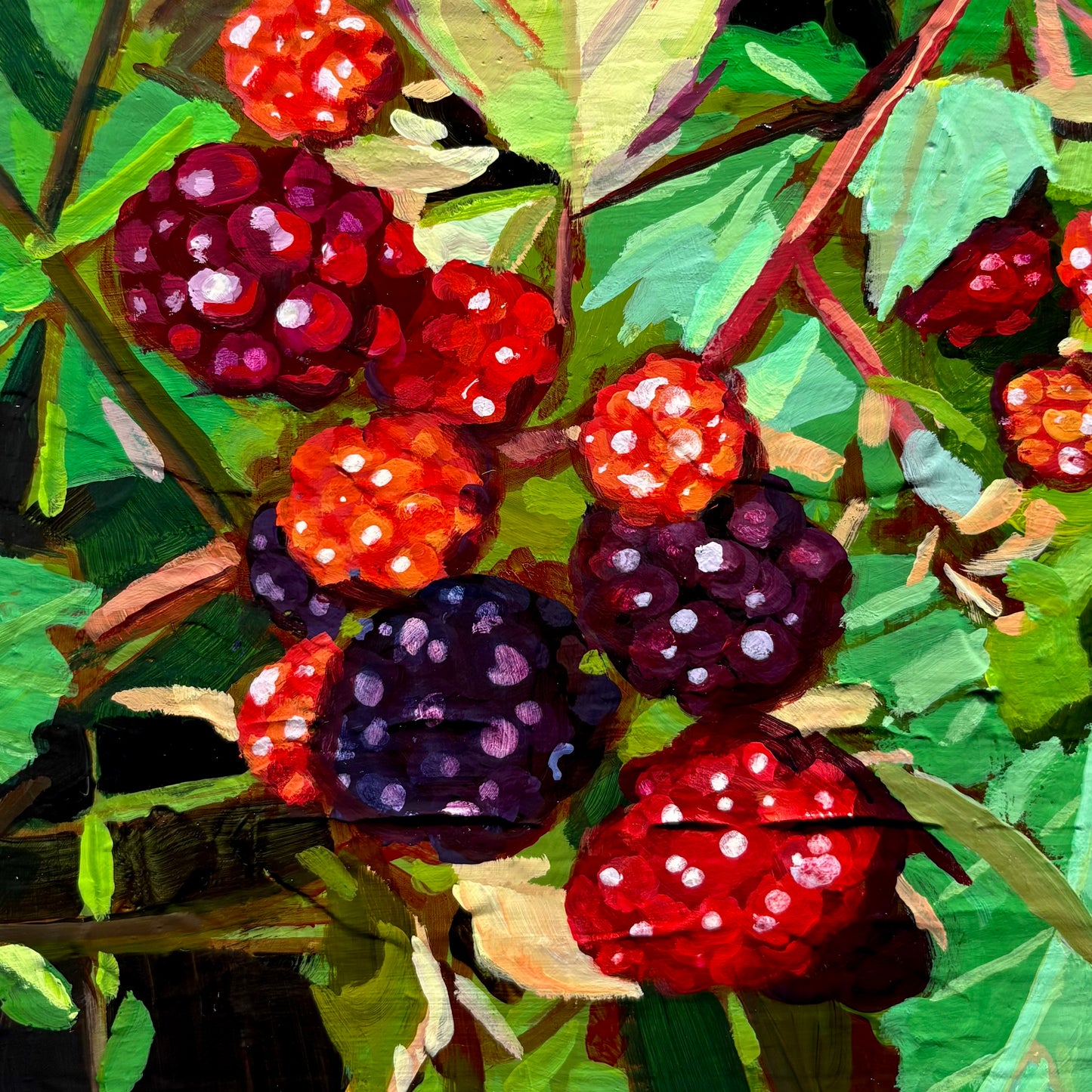 Blackberry Study