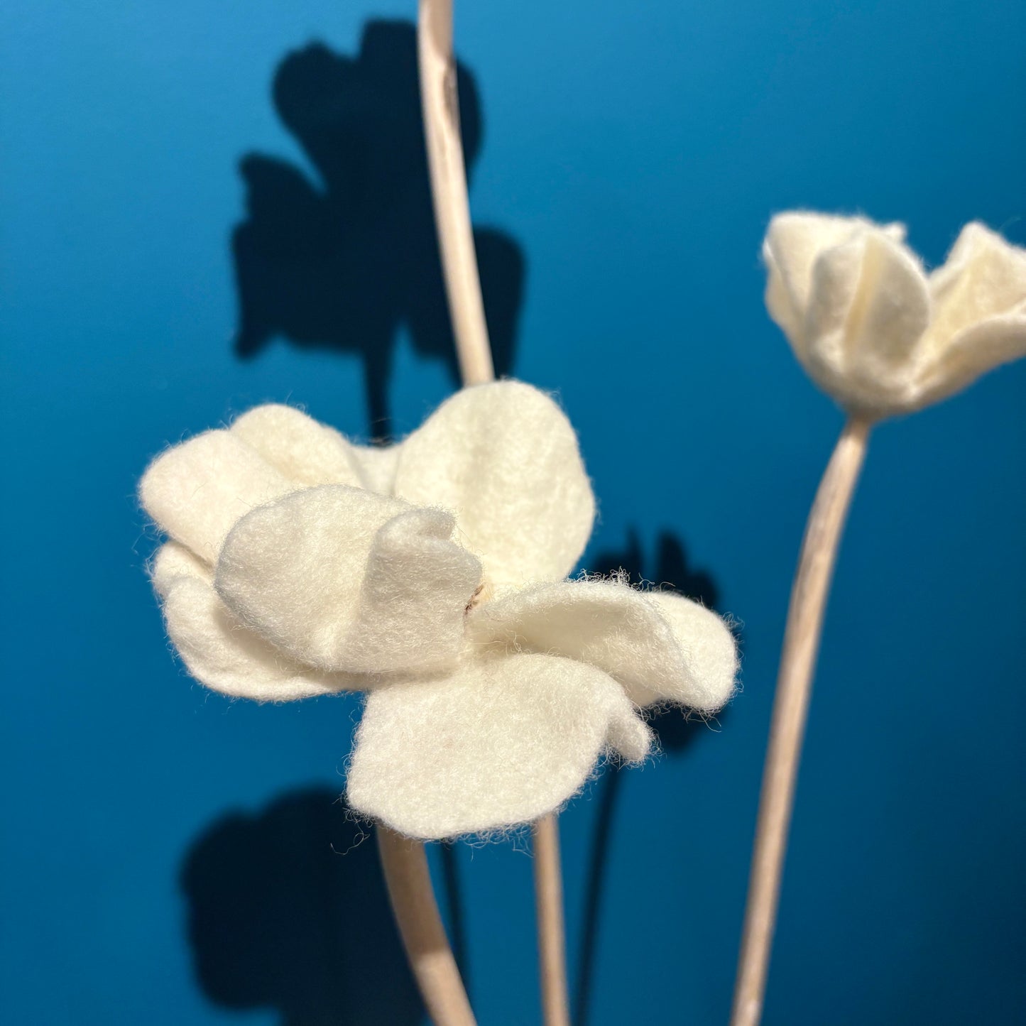 KUKKA #36 (TRIPLE STEM)