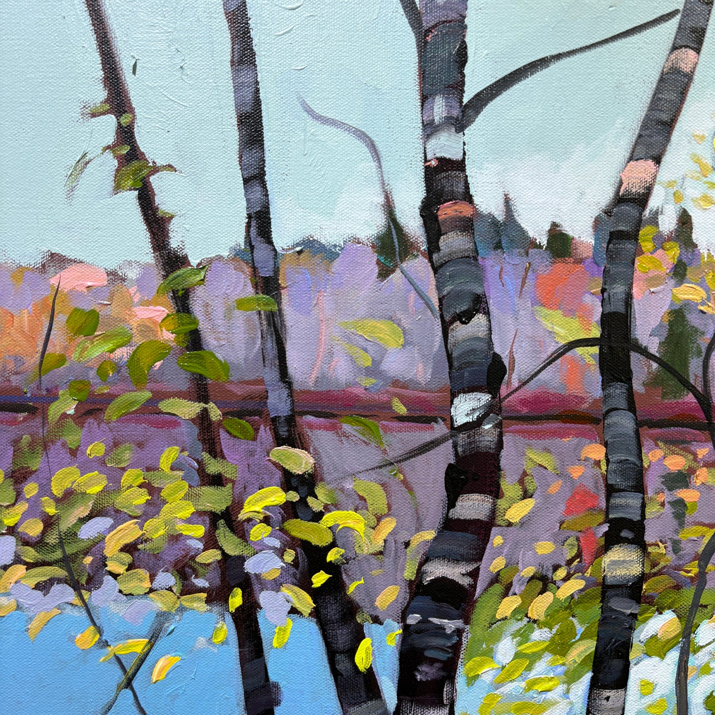 Frog Pond View
